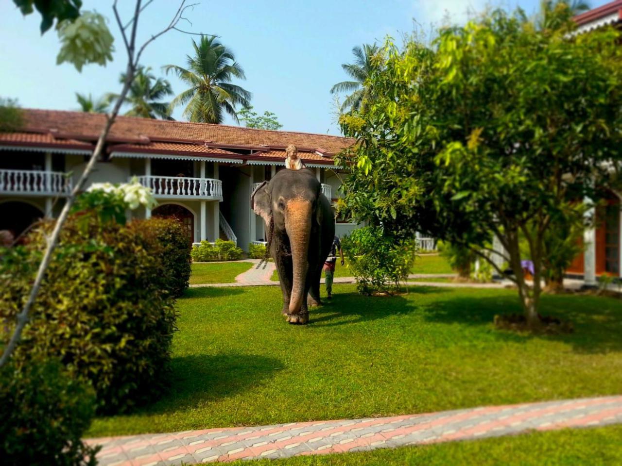 Bougain Villa Bentota Exterior foto